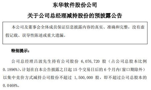 東華軟件總經理呂波擬減持不超過150萬股，信息系統集成服務行業前景引關注